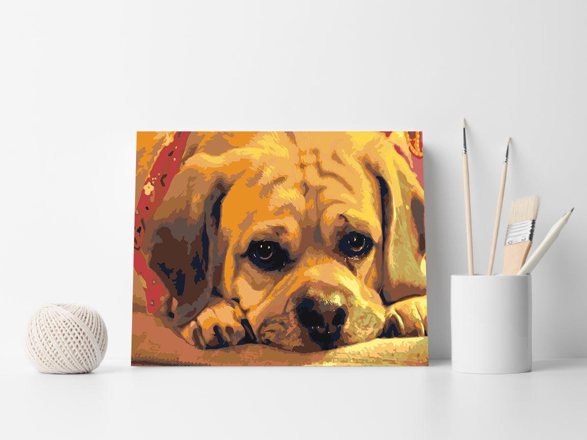 56bab9f724ec4b5393857b6ff3126046