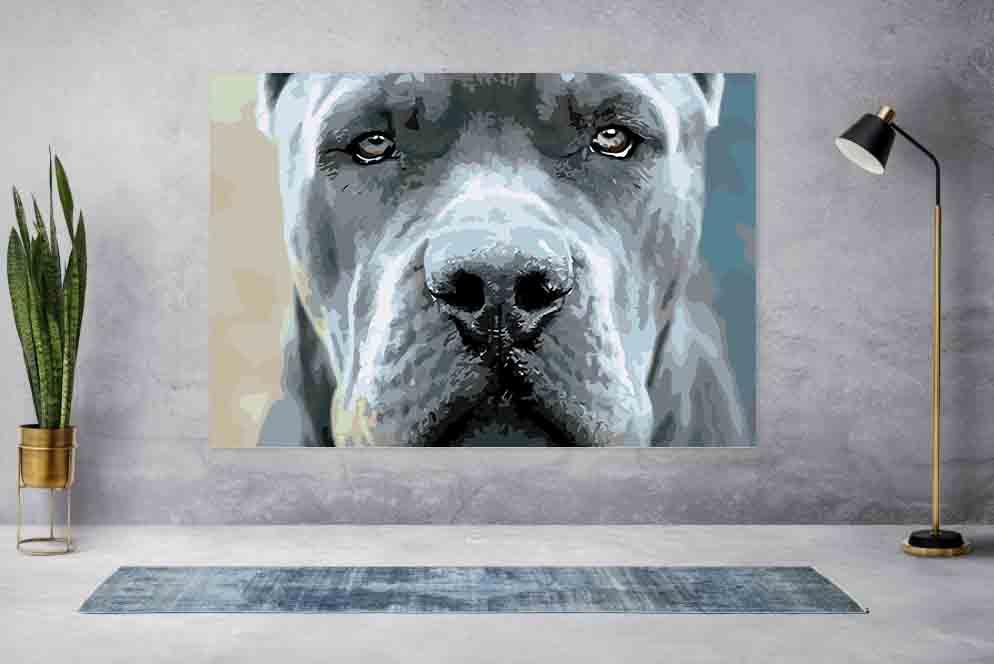 c0d382d4aed8a5749347cdbd2585fb1d