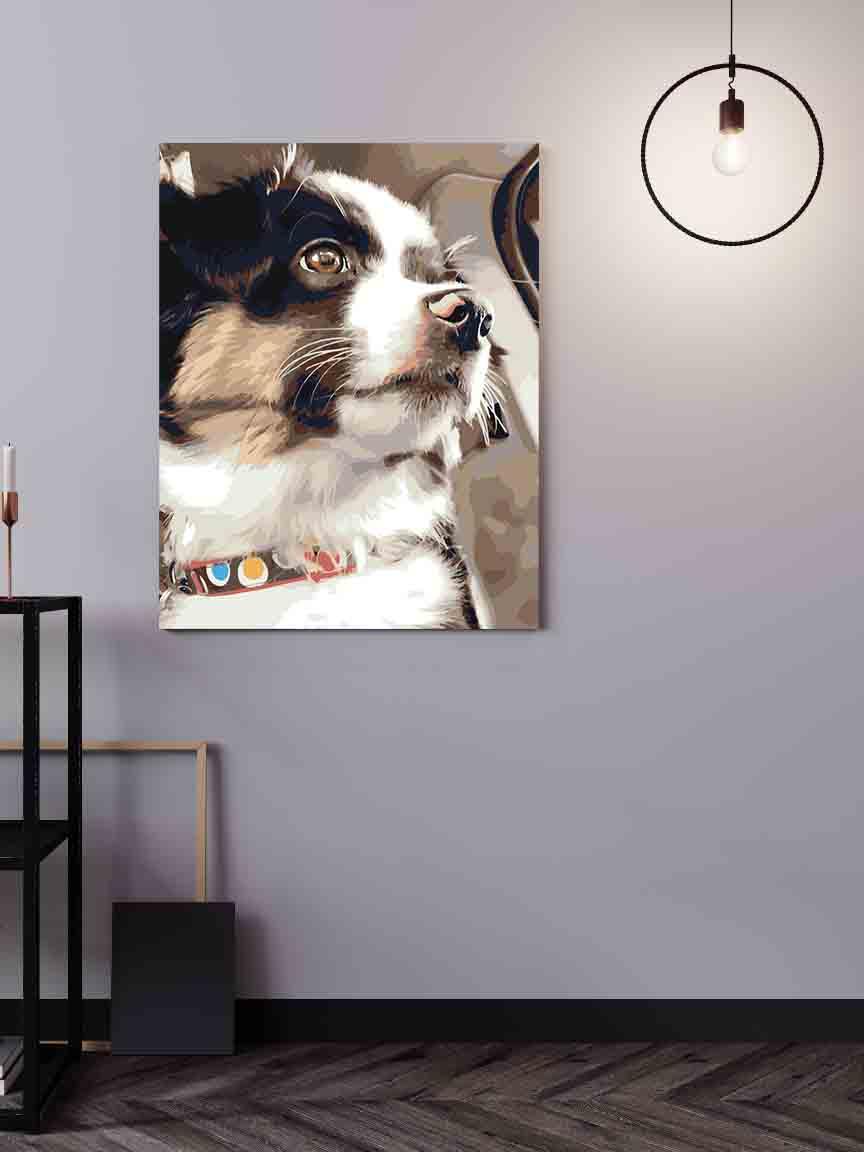 c30c2f9935a522867cd5129322055b57