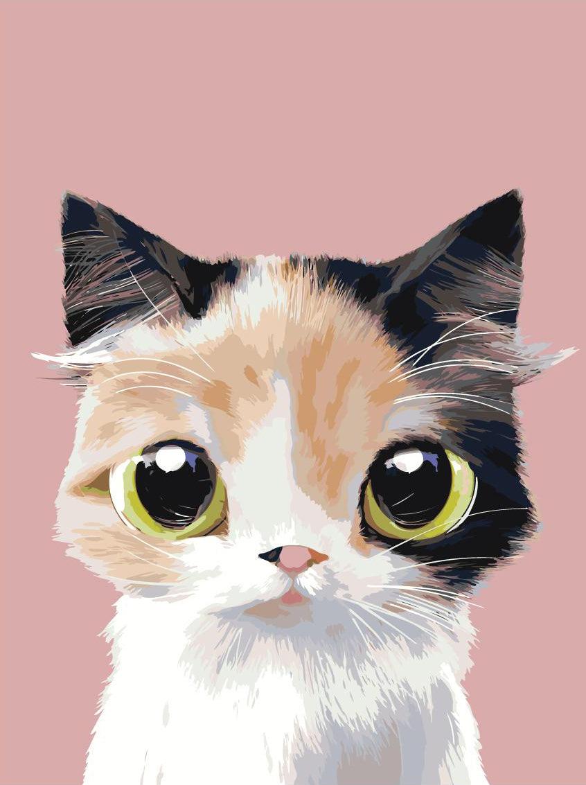 07891544097a9b97fce88b4f83088e66