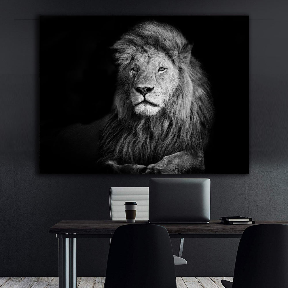 Leinwandbild - Schwarz-weißer Löwe