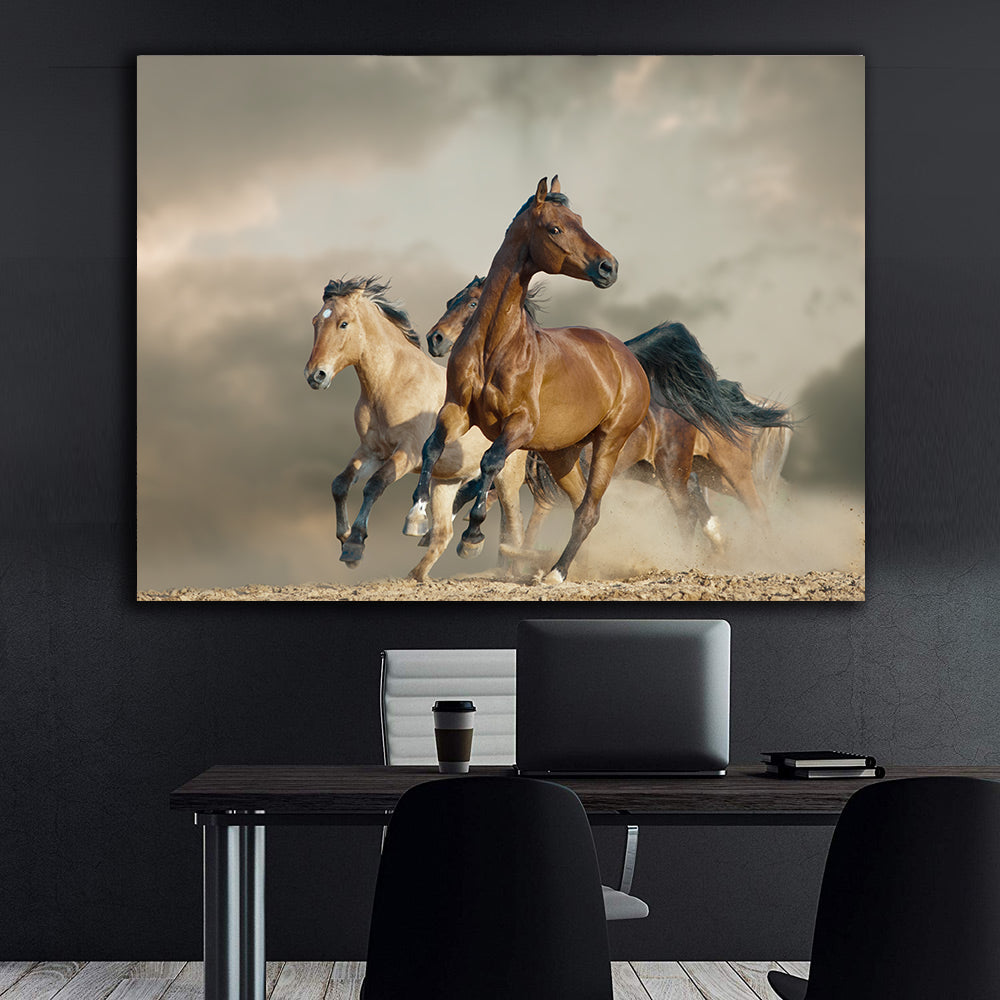 Leinwandbild - Sportpferde