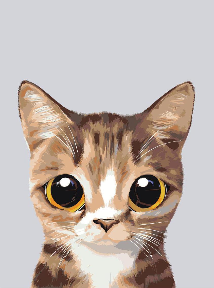 e3937bb2d129ff268a3fcc6b217c8174