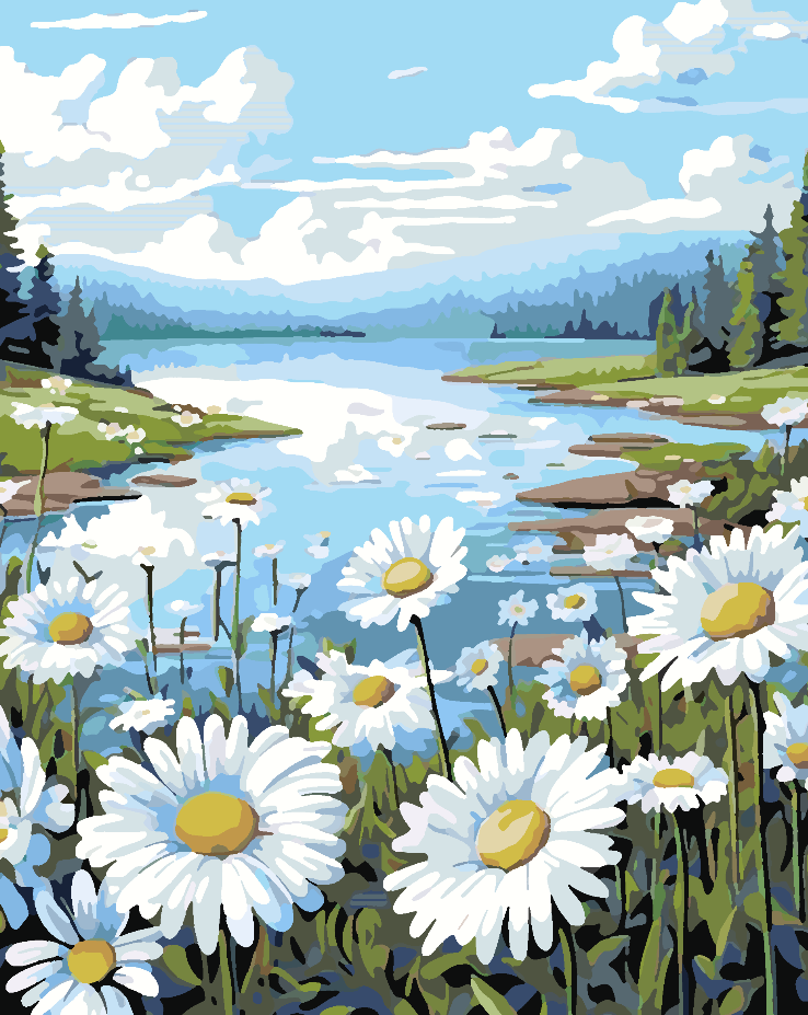 Malen nach Zahlen - Feld mit Blumen 4326