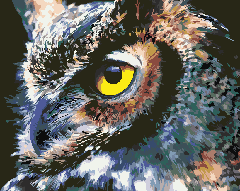Malen nach Zahlen - Schöne Eule 4416