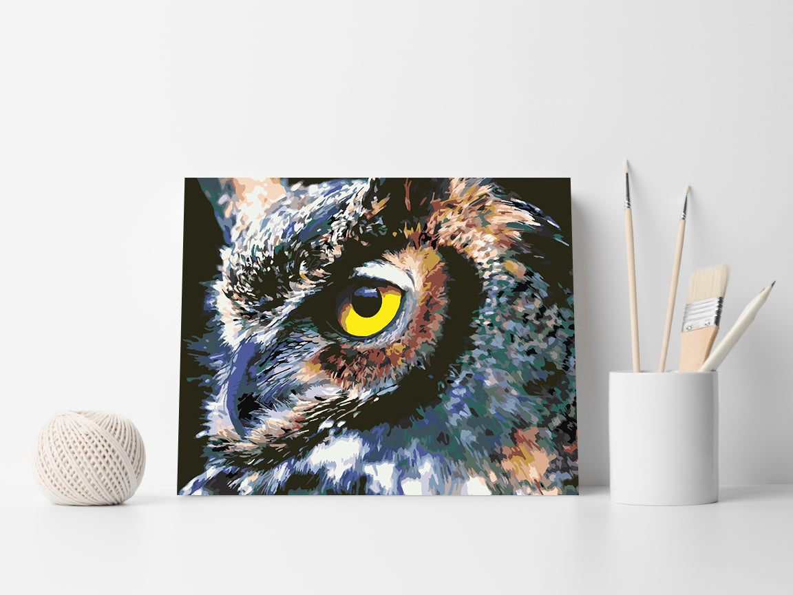 Malen nach Zahlen - Schöne Eule 4416