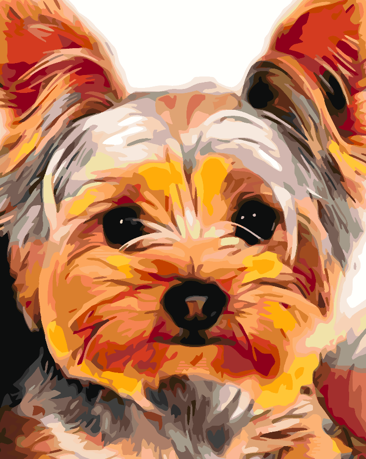 Malen nach Zahlen - York Terrier 4428