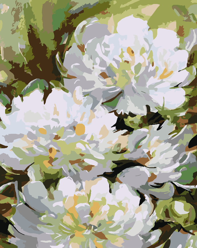 Malen nach Zahlen - Weiße Pfingstrosen 4481