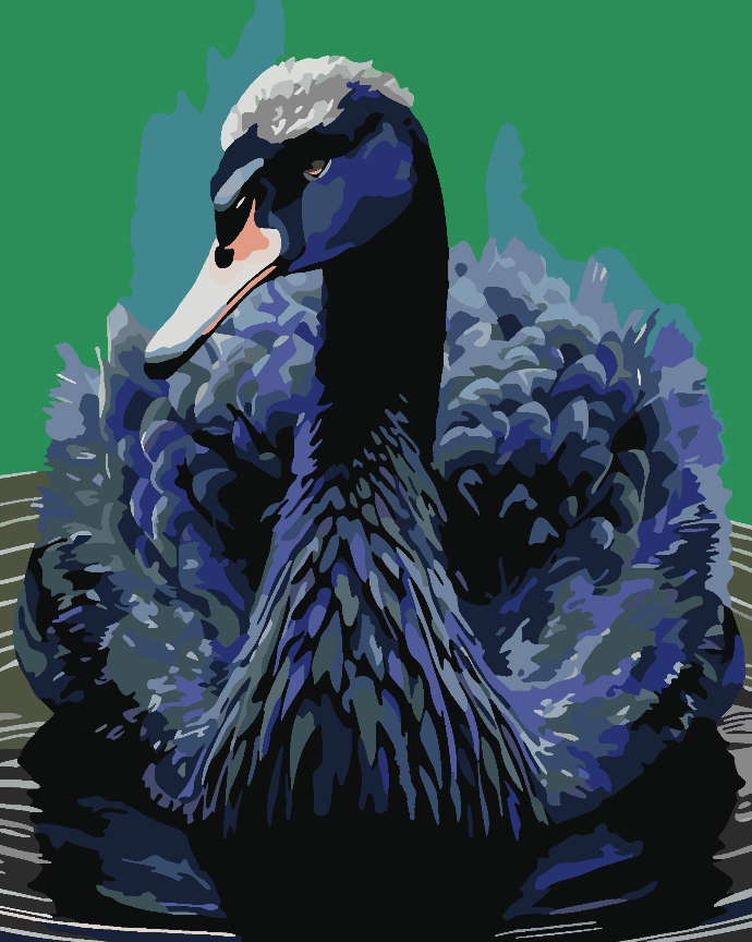 Malen nach Zahlen - Schwarzer Schwan 4522