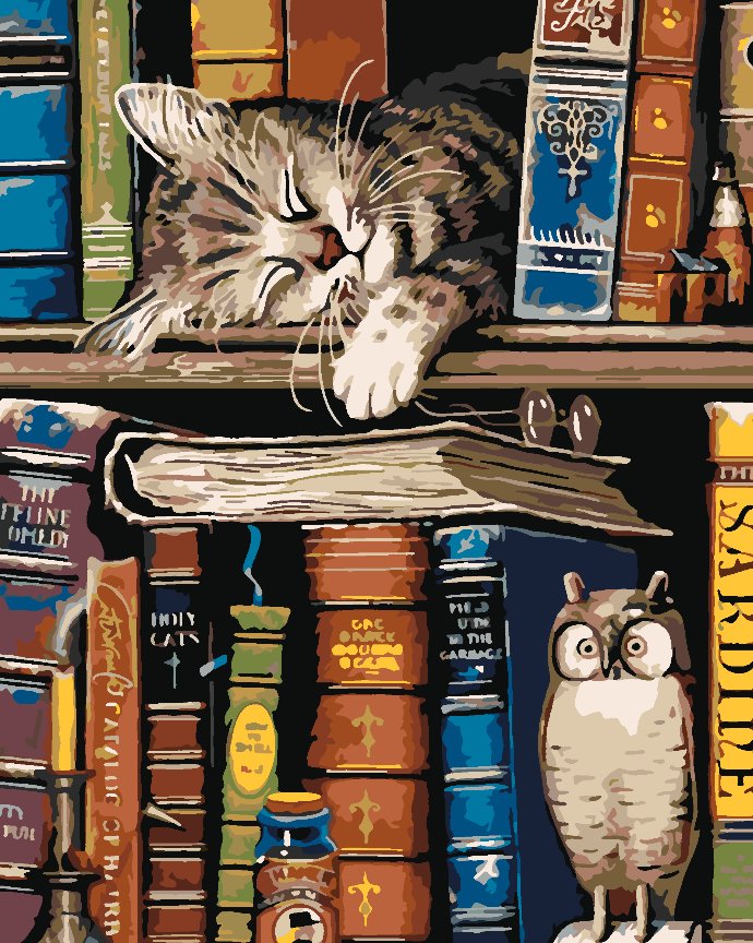 Malen nach Zahlen - Katze auf einem Bücherregal 4541