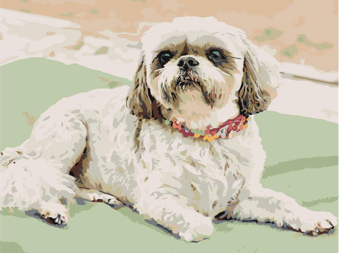 8f589ee27aba6affa3d7e81ce5056873