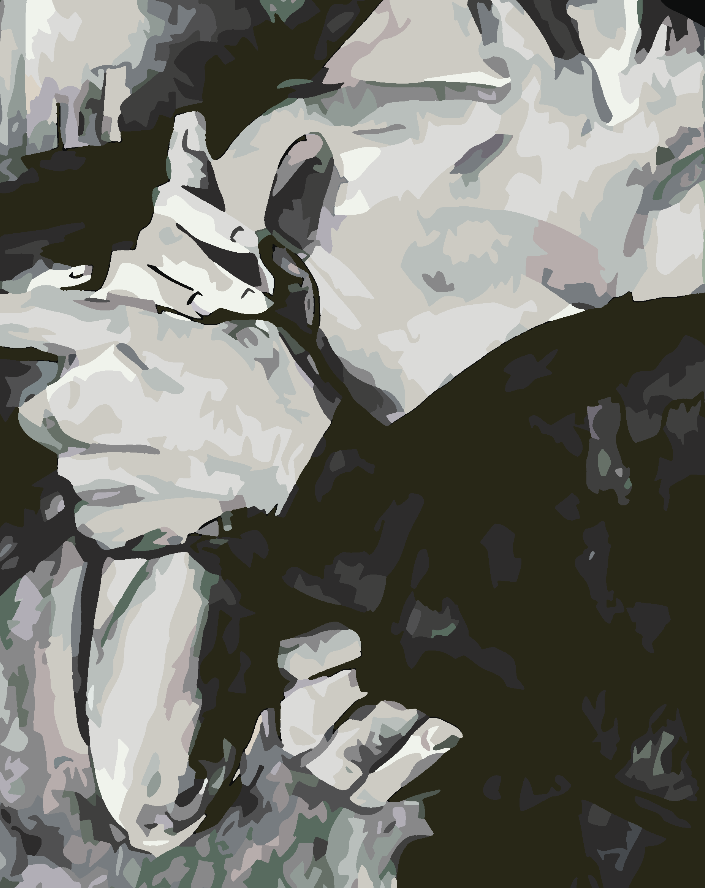 Malen nach Zahlen - Liebe Schwarz und Weiß 4632