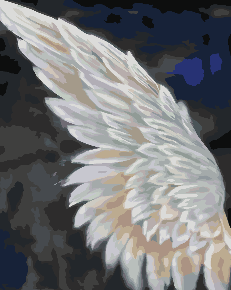 Malen nach Zahlen - White Wing 4658