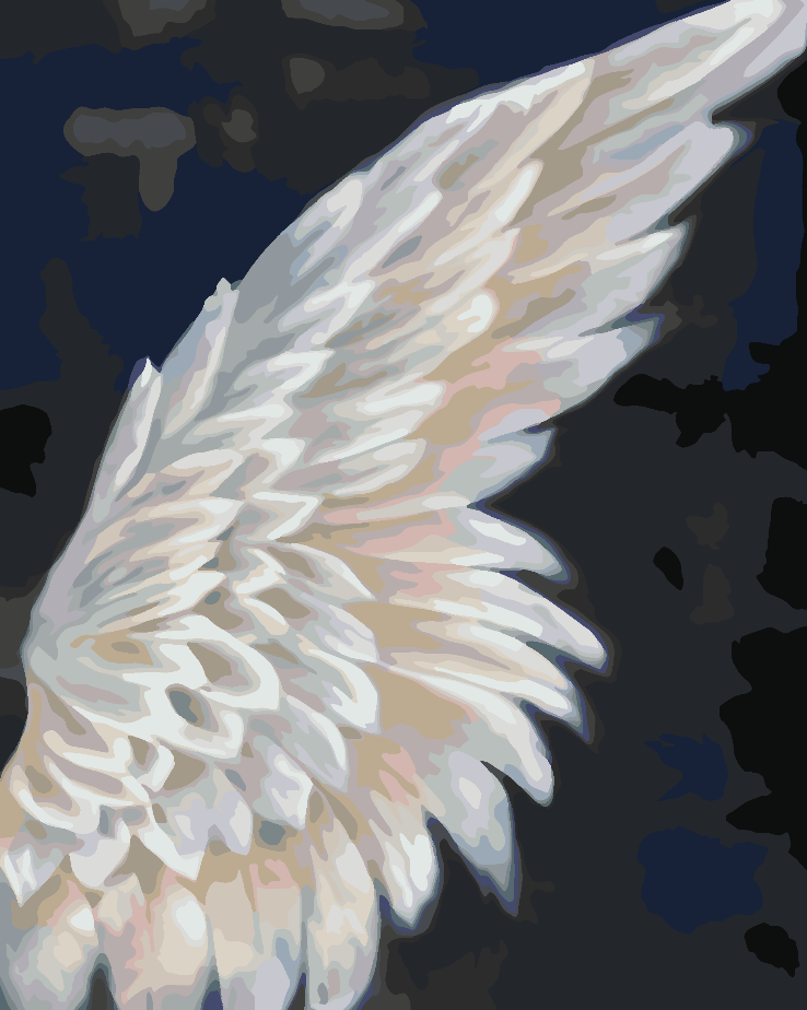 Malen nach Zahlen - White Wing 4659