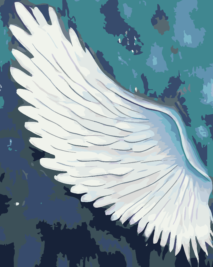 Malen nach Zahlen - White Wing 4660