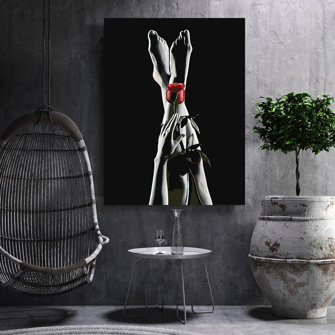 Malen nach Zahlen - Erotische Frau 4678