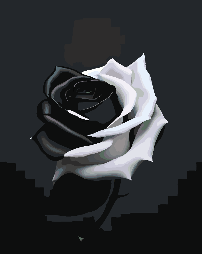 Malen nach Zahlen - Rose Ab Black 4696