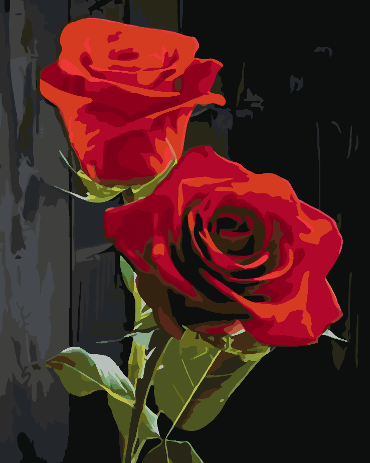 Peinture par numéros - Roses rouges 4702