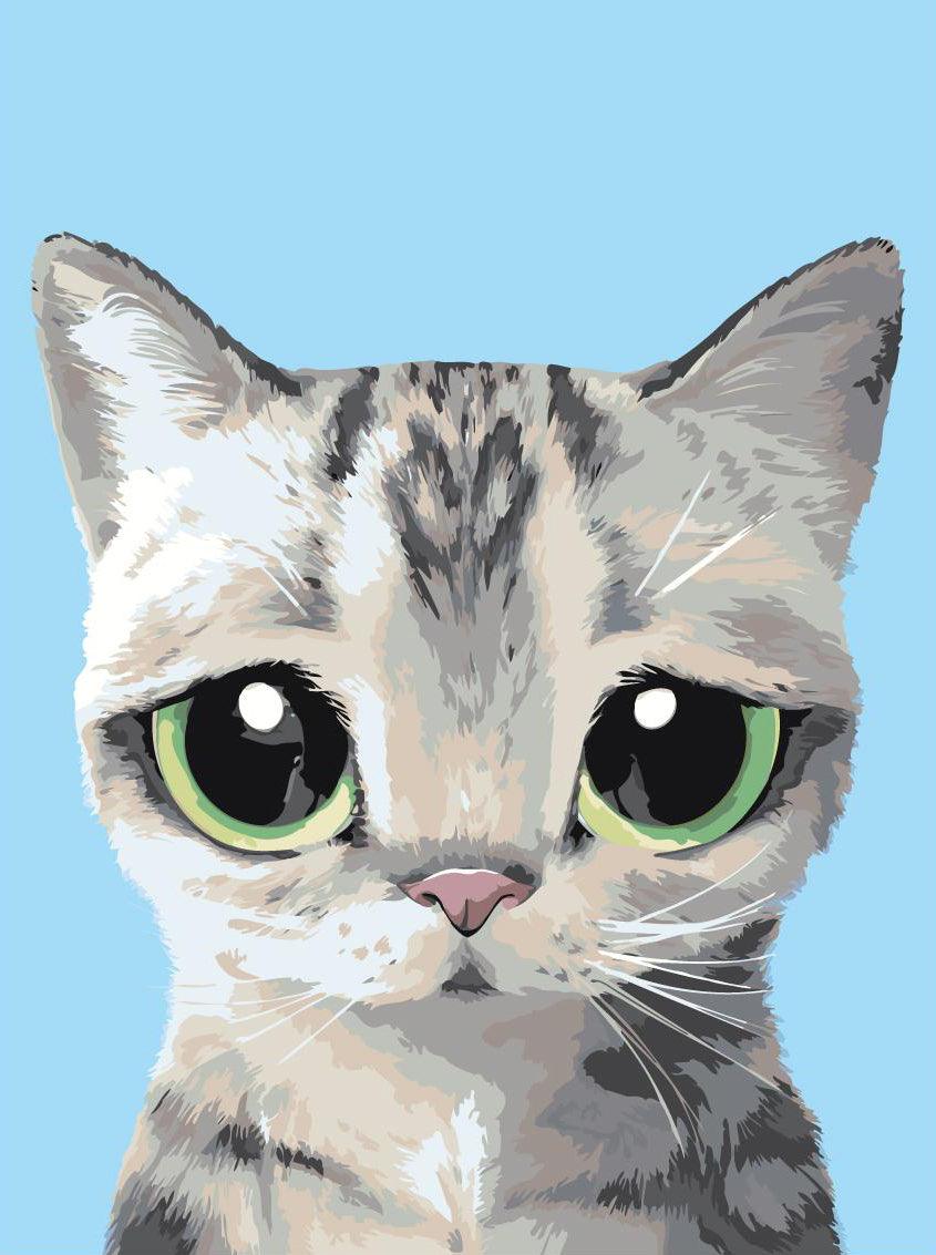 6db45f55da3930340863a1efaf627002