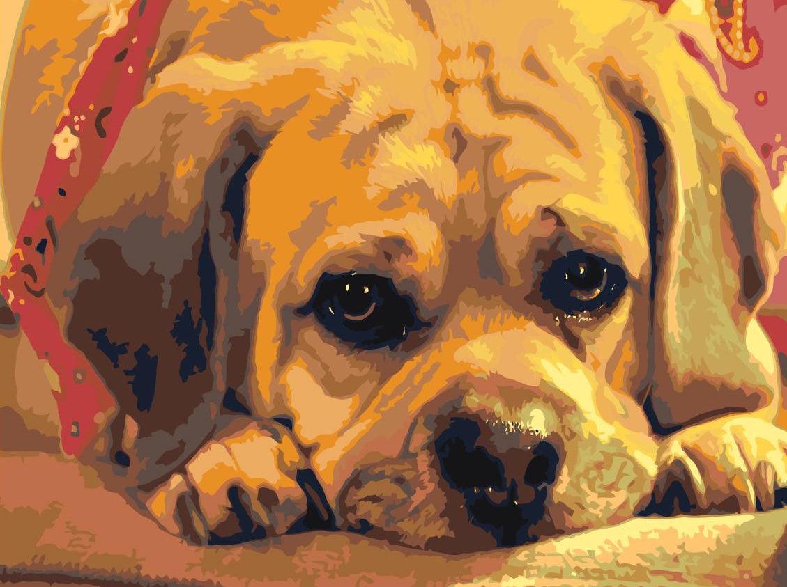 d73bdbd1f7846946d7e981f51230ec22