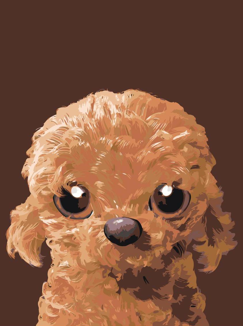 d2bce81b1b83d2c0d47a25fb13c5927b