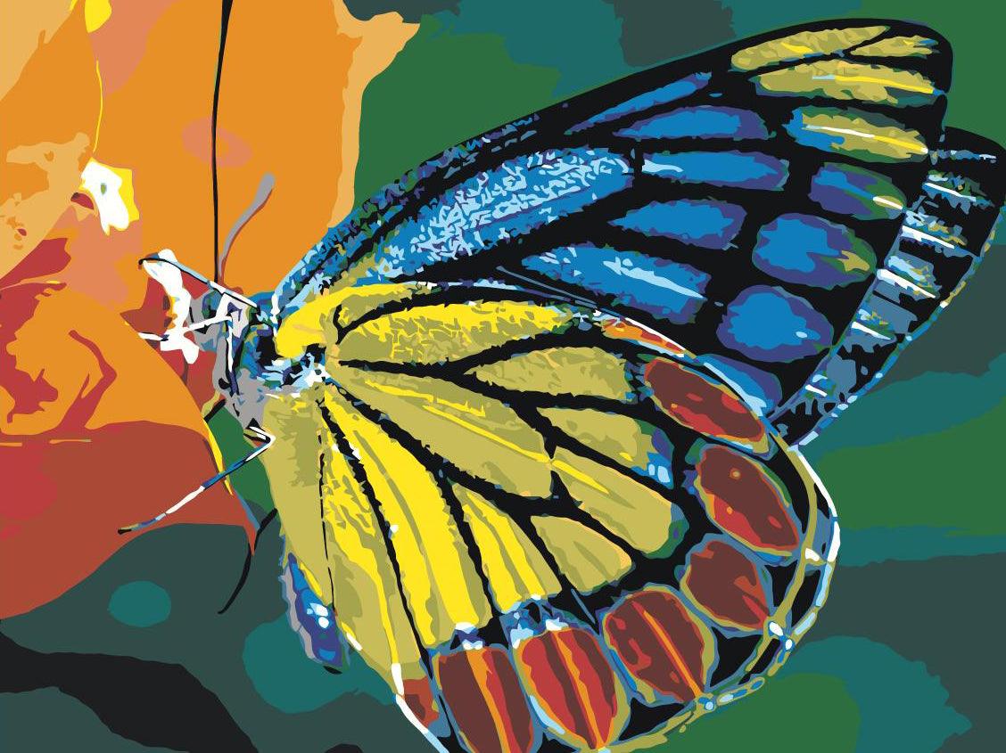 ebe0e499115b3f29c140651b587a4c1a