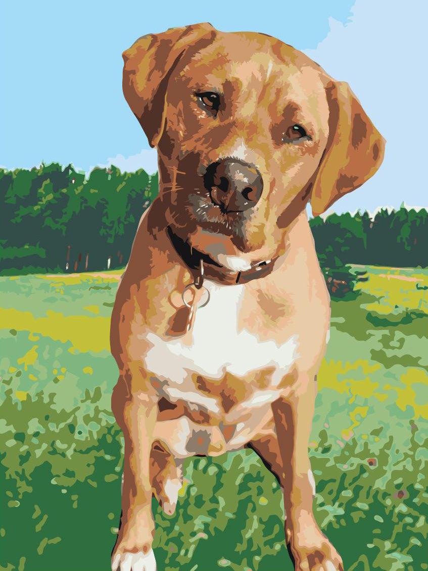 2370d0a53a7bbc3ab693df32af5cc0e5