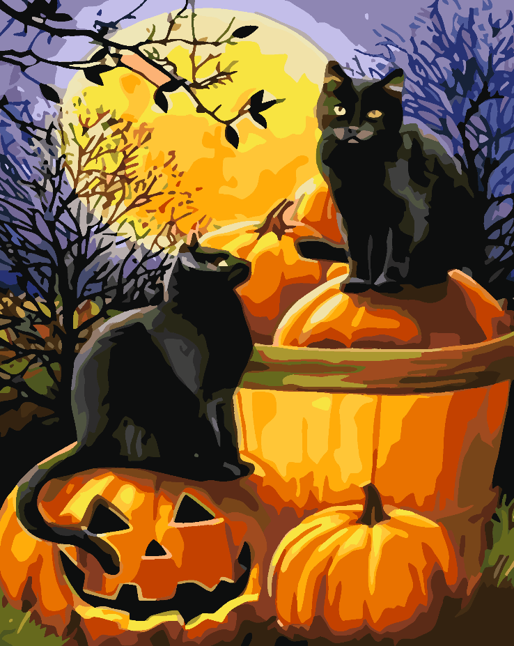 19a1a5115f91ffcd77575f2799be55b9