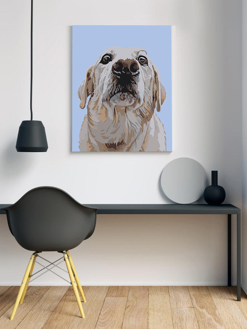 a96e81ae502a78dc77851cb8dd7c56e8