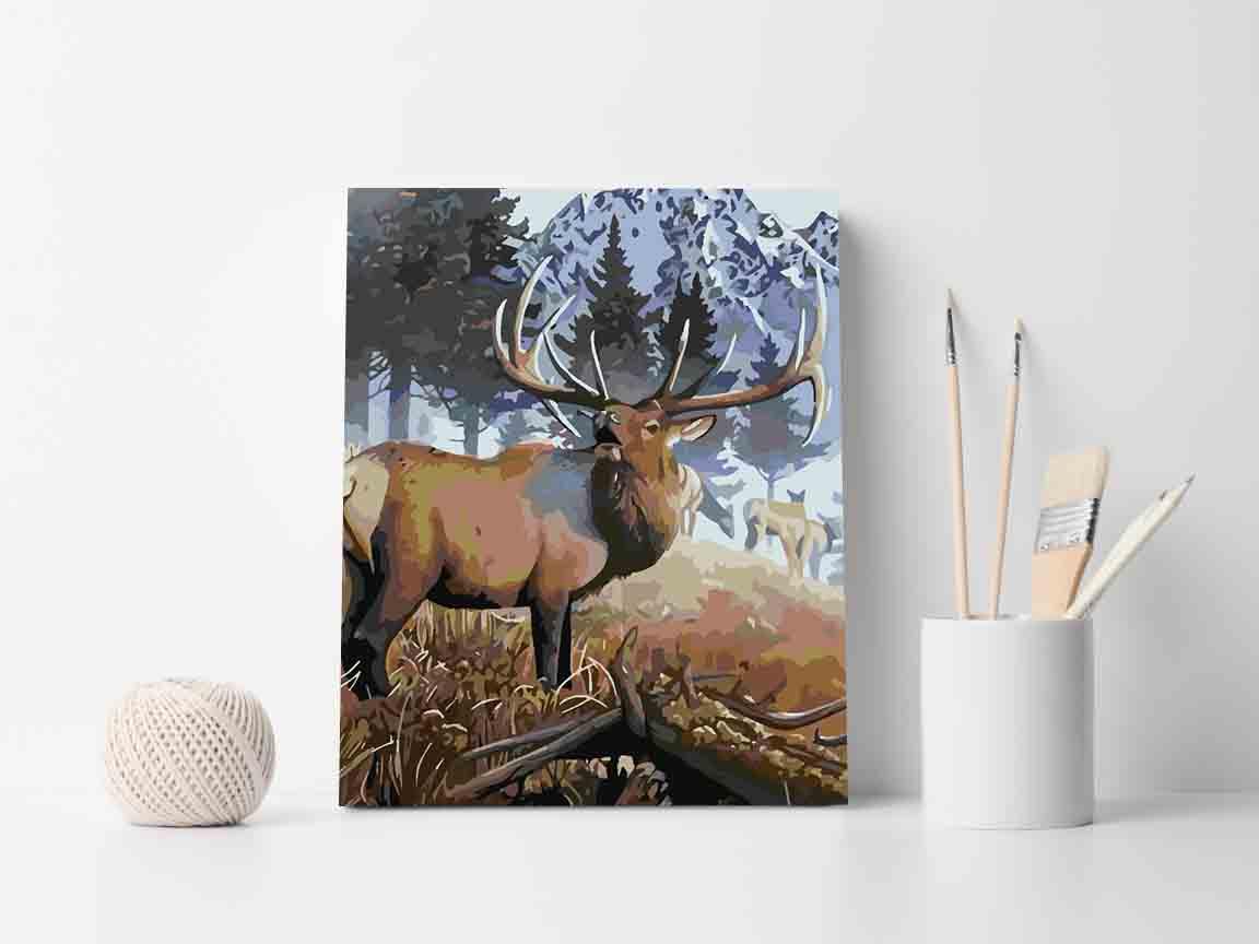 a8c9ab411b09ccd9559037ab77303302