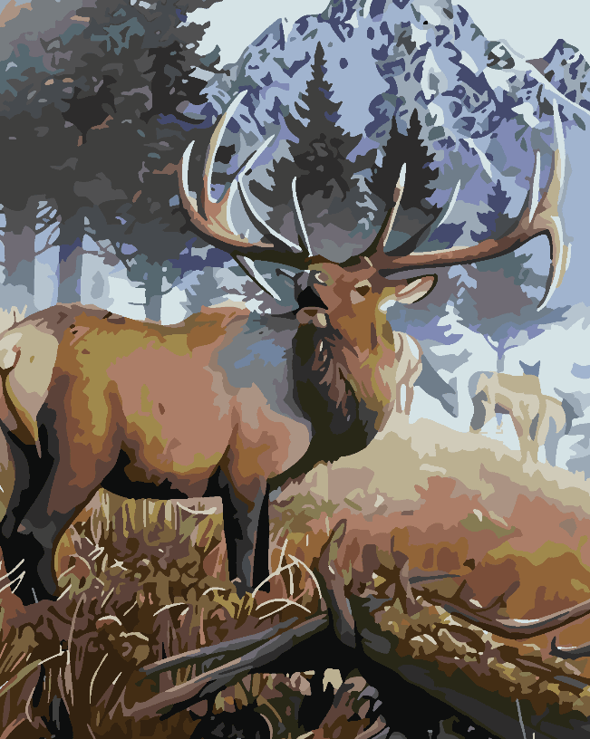 9f86771bb71ce4b130bc43a137f511d5