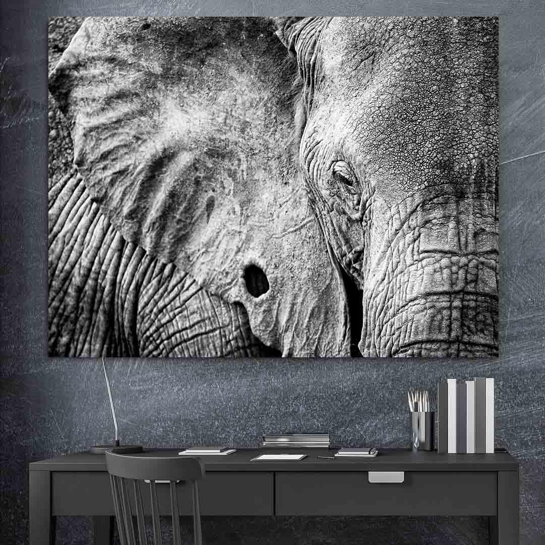 Tablou Canvas - Elefant alb-negru