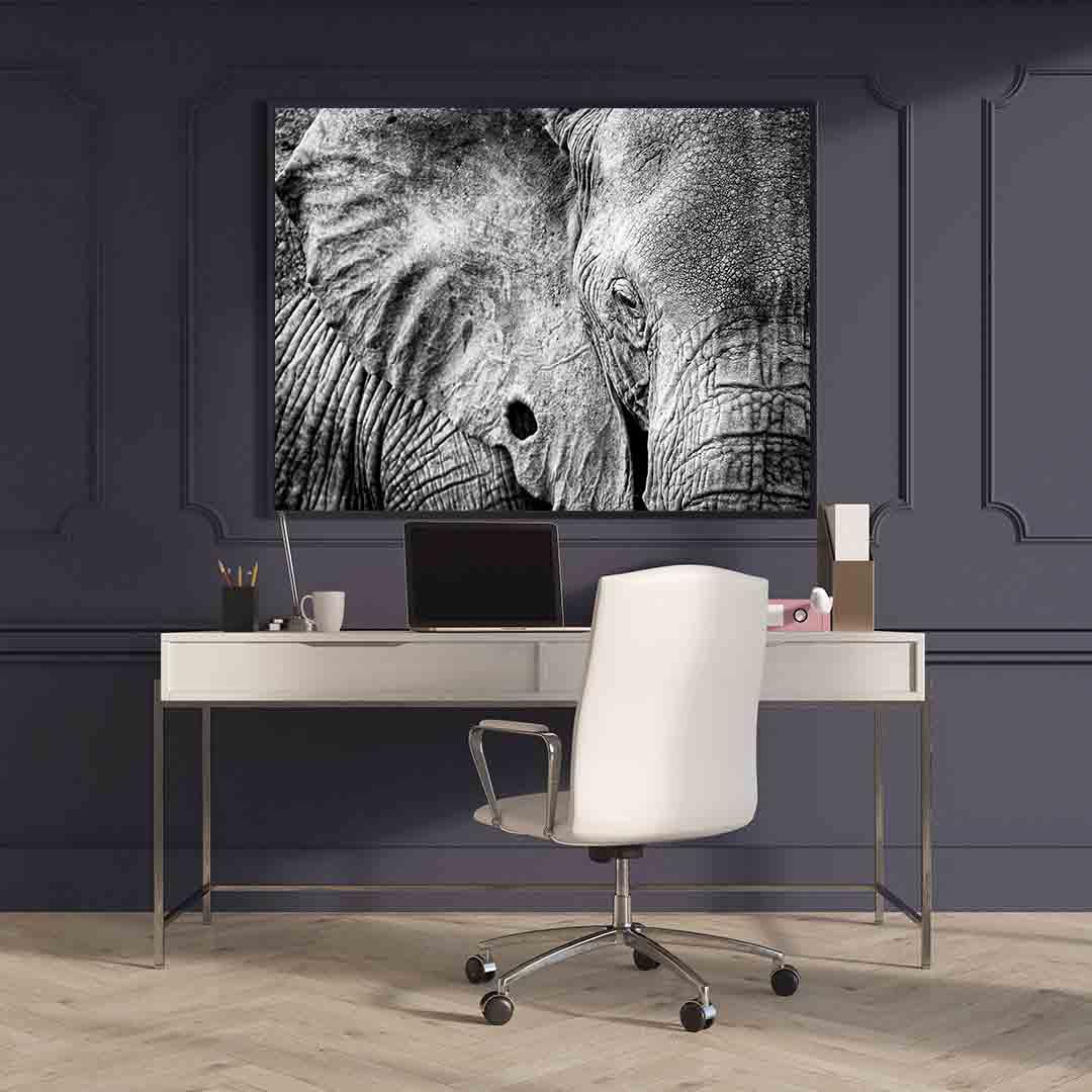 Tablou Canvas - Elefant alb-negru