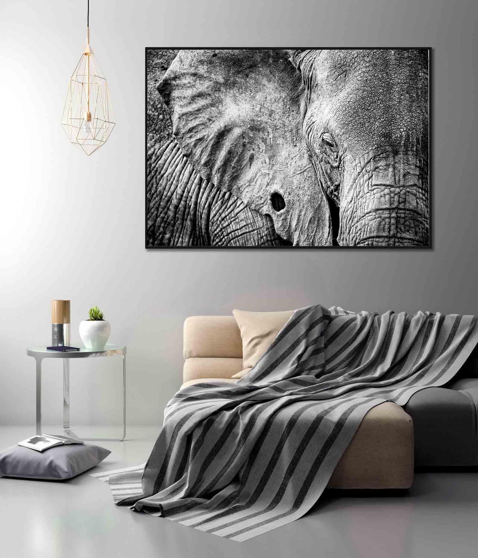 Tablou Canvas - Elefant alb-negru