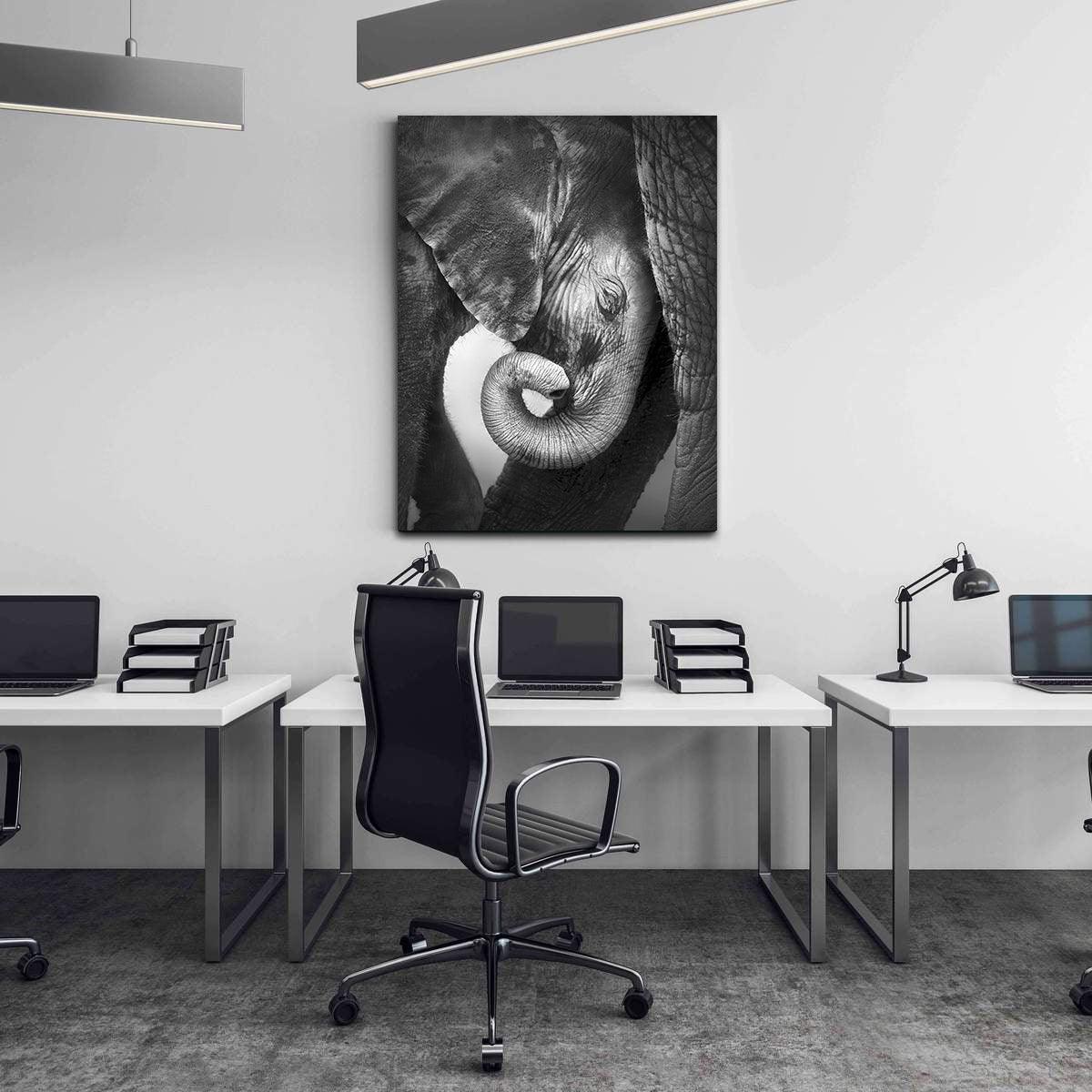 Leinwandgemälde - Kleiner schwarz-weißer Elefant