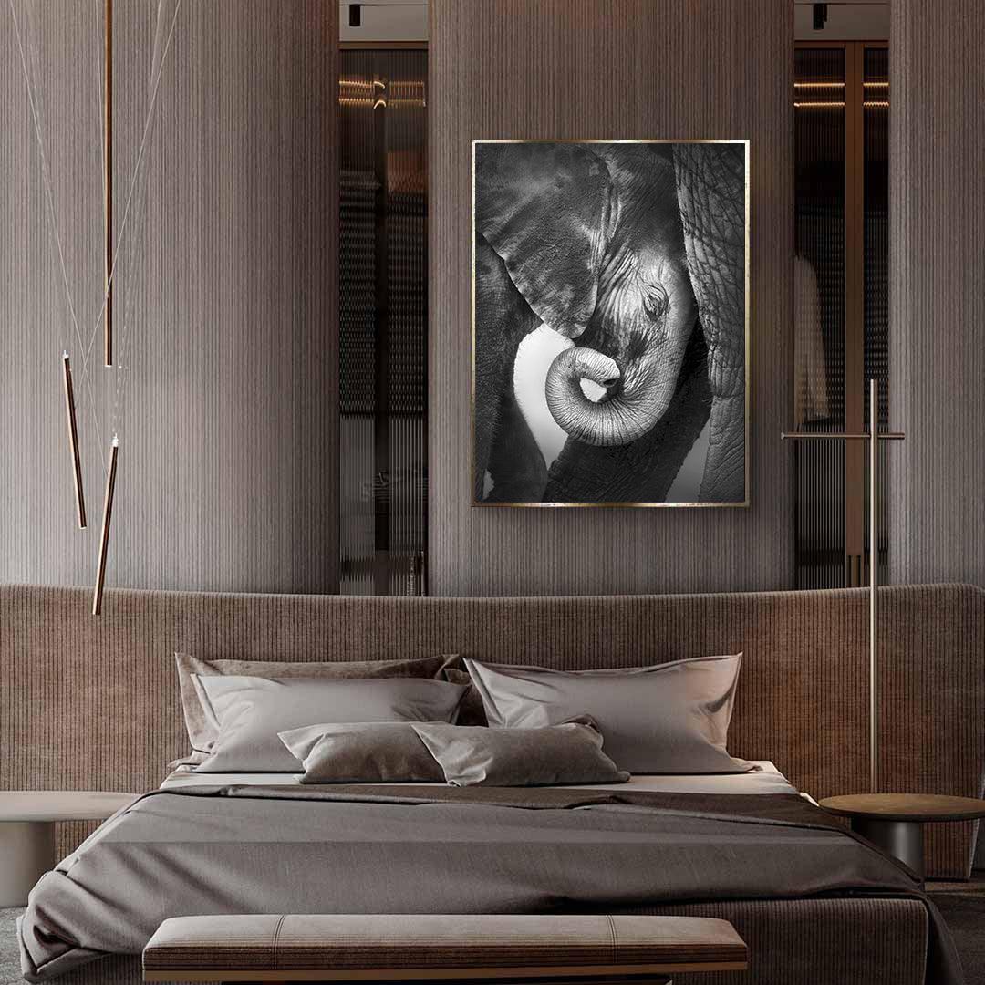 Tableau sur toile - Petit éléphant noir et blanc