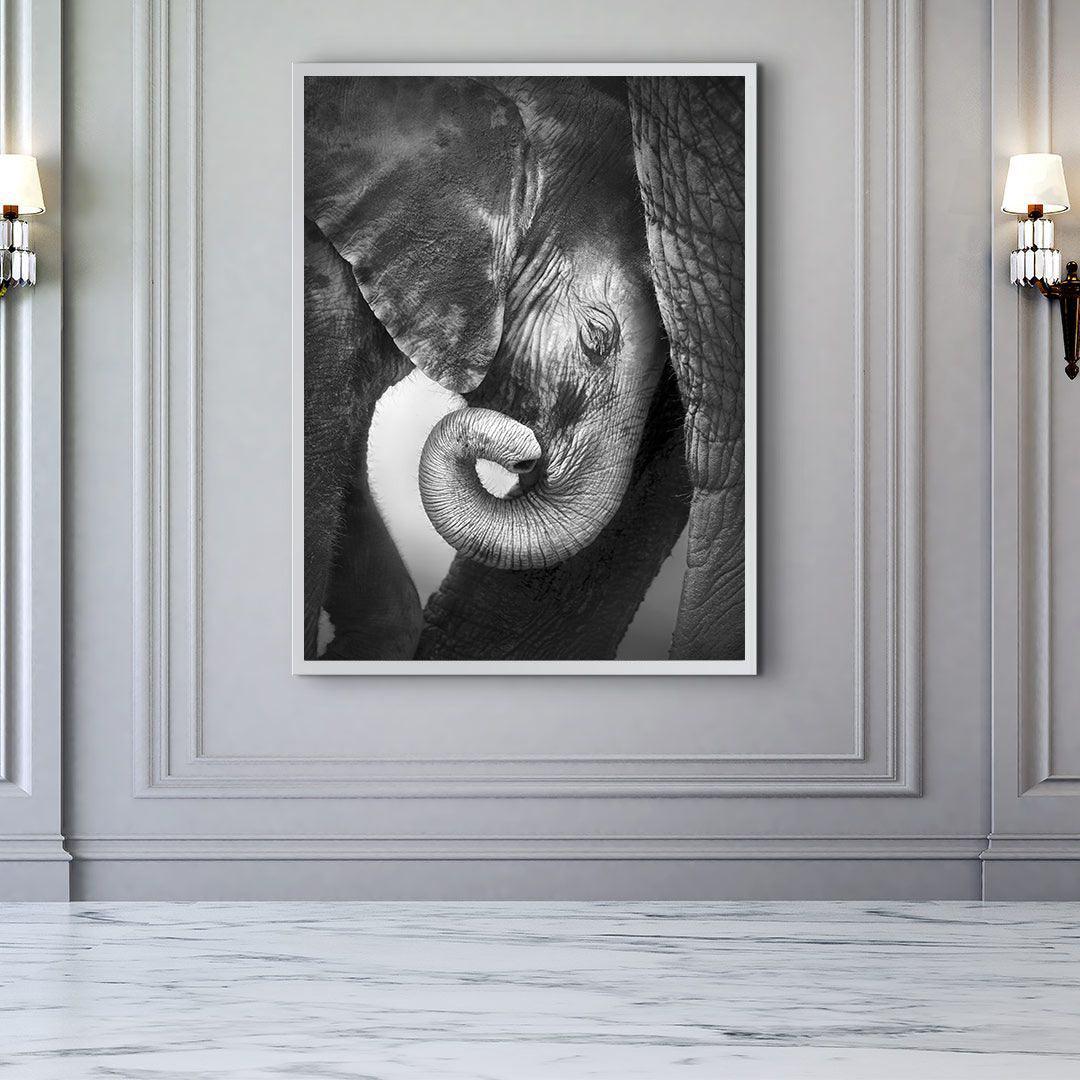 Tableau sur toile - Petit éléphant noir et blanc