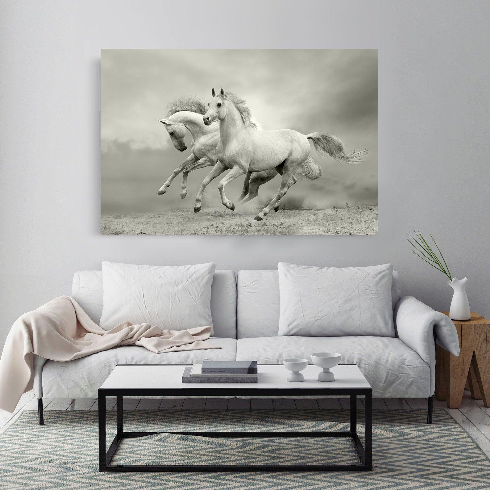 Leinwandbild - Weiße Pferde