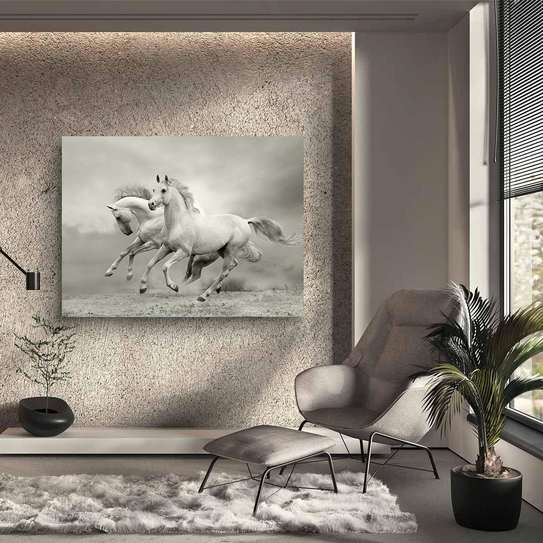 Leinwandbild - Weiße Pferde