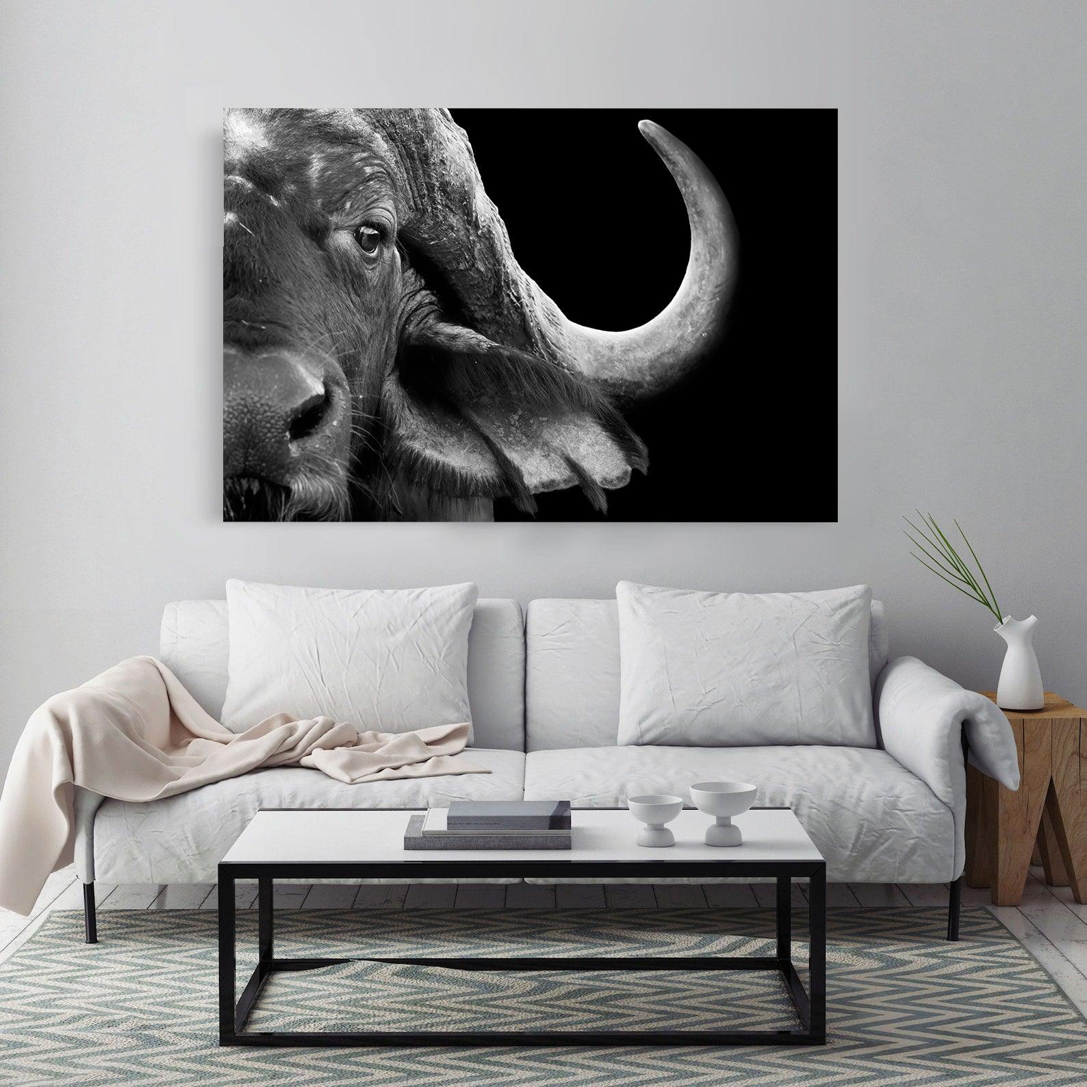 Tableau sur toile – Buffle noir et blanc