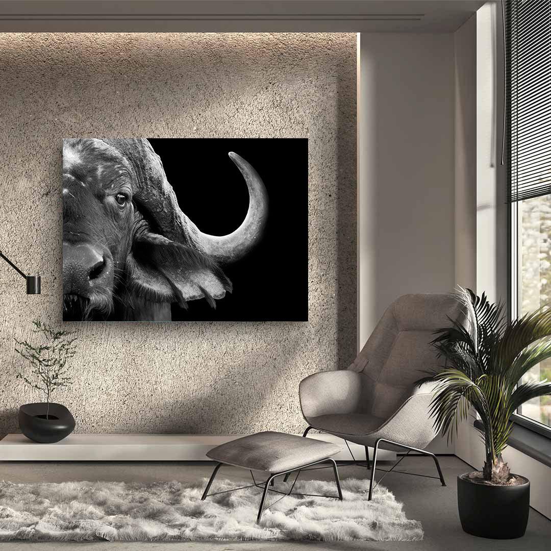 Tableau sur toile – Buffle noir et blanc