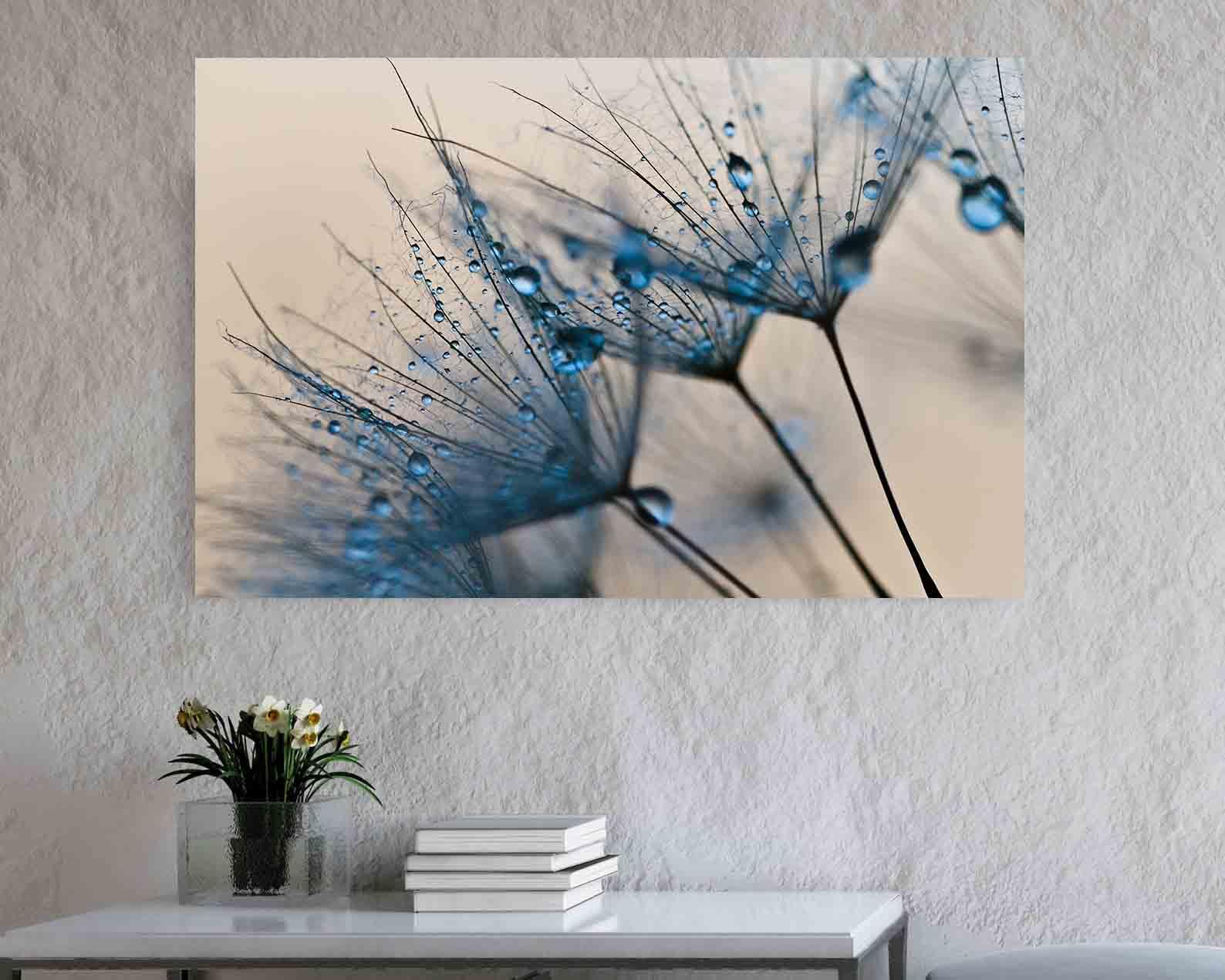 Leinwandbild - Blume mit Wassertropfen