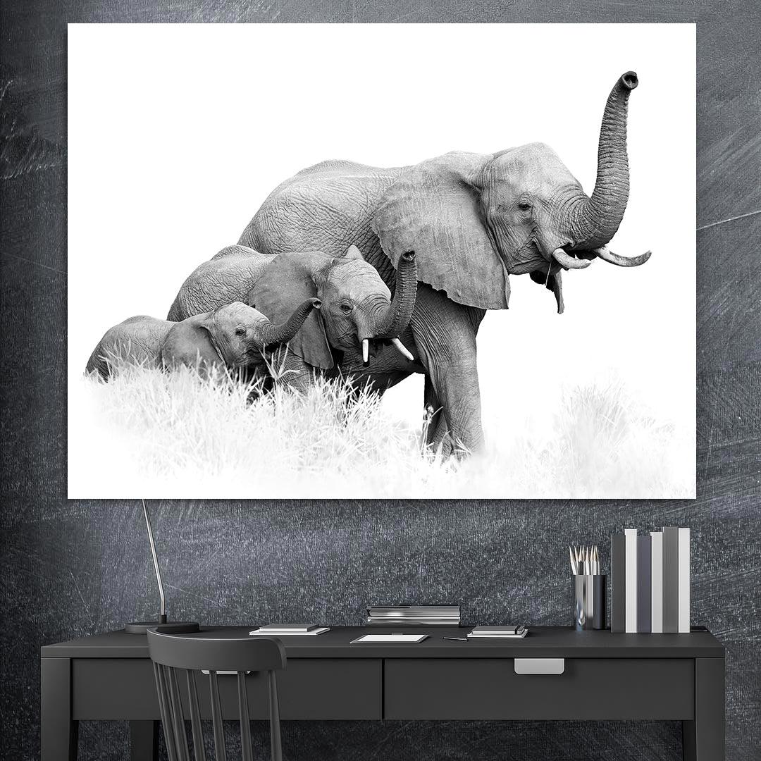 Peinture sur toile - Trois éléphants