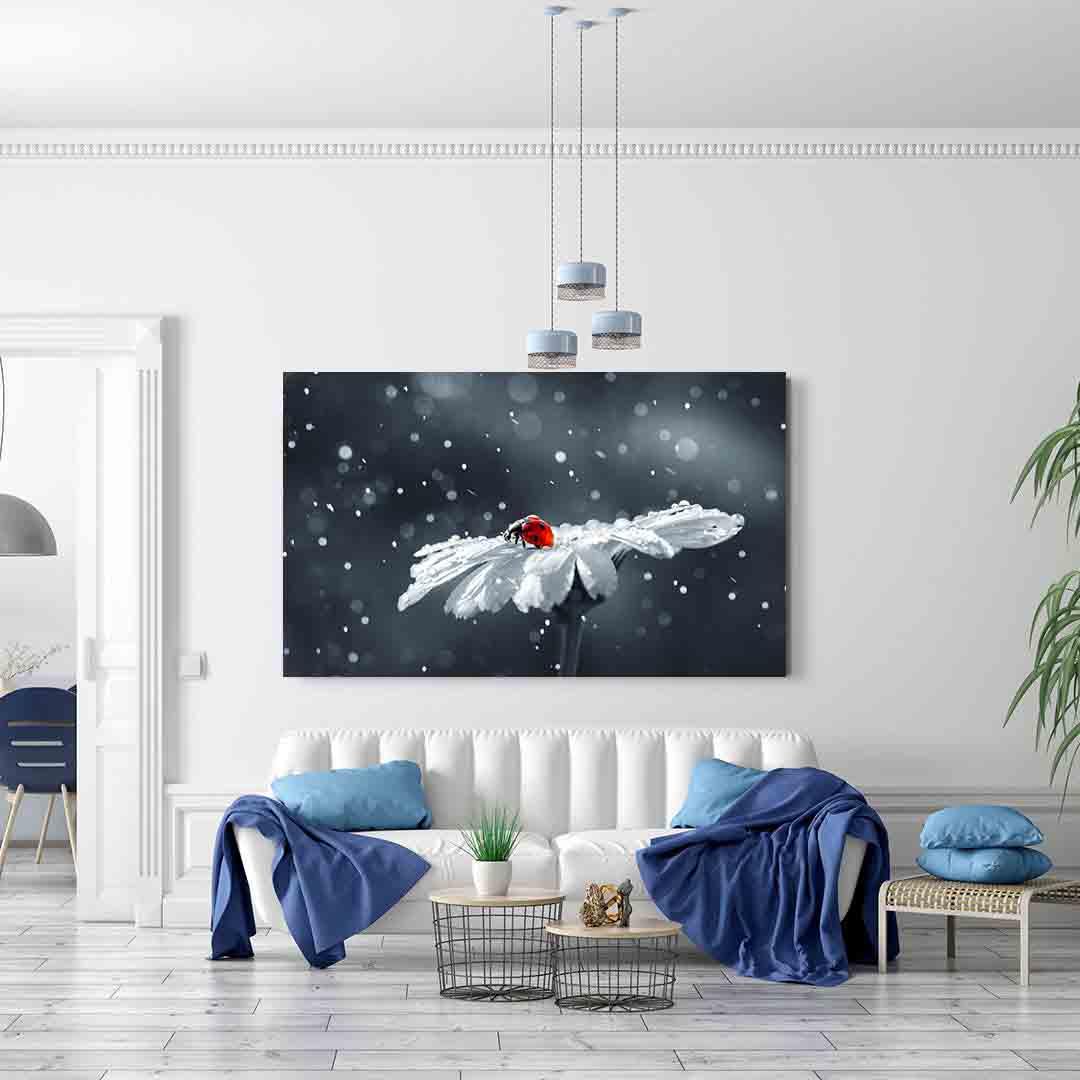 Tablou Canvas - Buburuza pe romanita