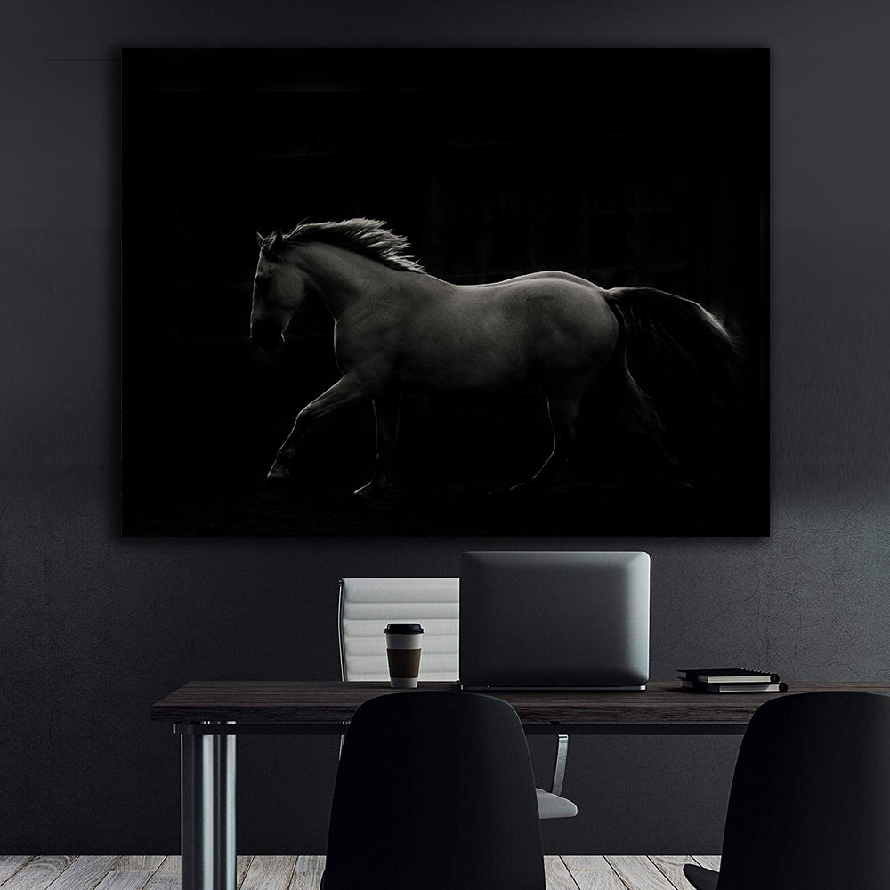 Leinwandbild - Schwarz-weißer Hengst