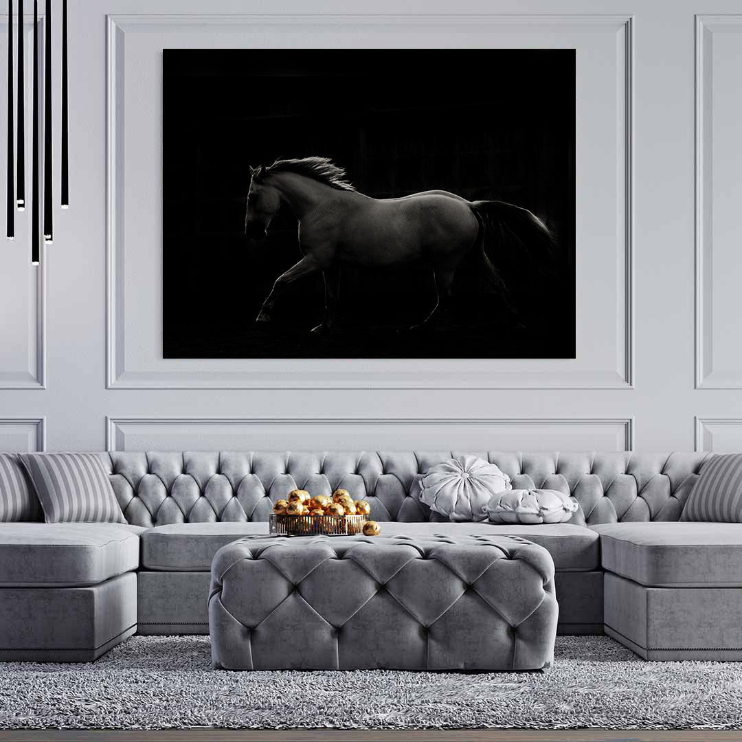 Peinture sur toile - Étalon noir et blanc