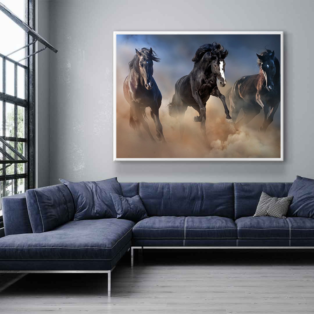 Leinwandbild - Schwarze Hengste