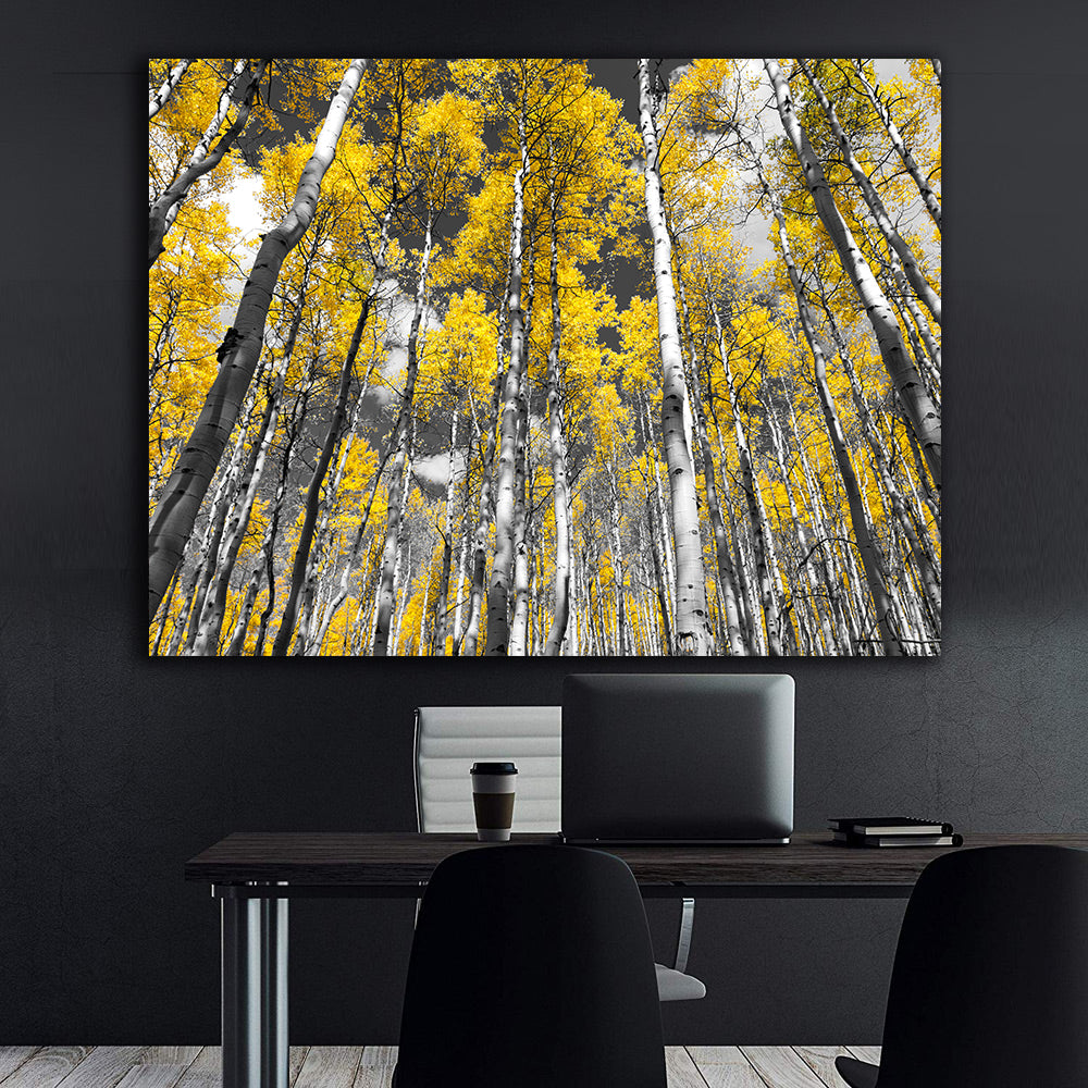 Tablou Canvas - Mesteceni Înalți