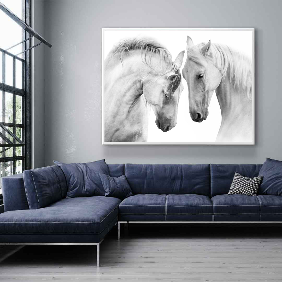 Leinwandbild - Weiße Pferde
