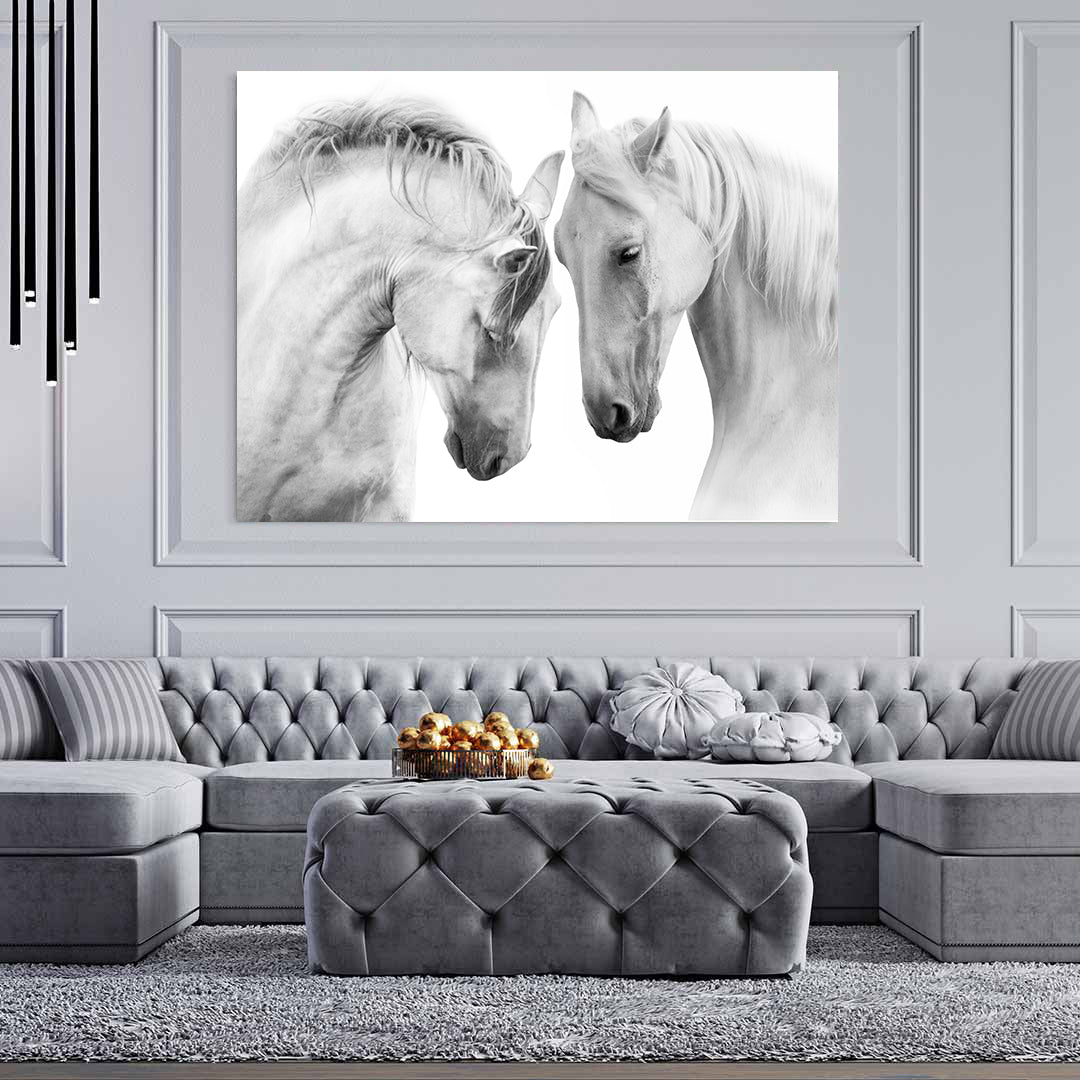 Leinwandbild - Weiße Pferde